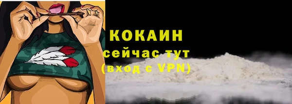 соль курить ск Новозыбков