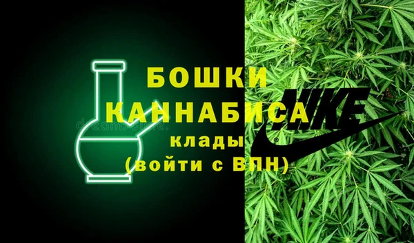 PSILOCYBIN Бугульма