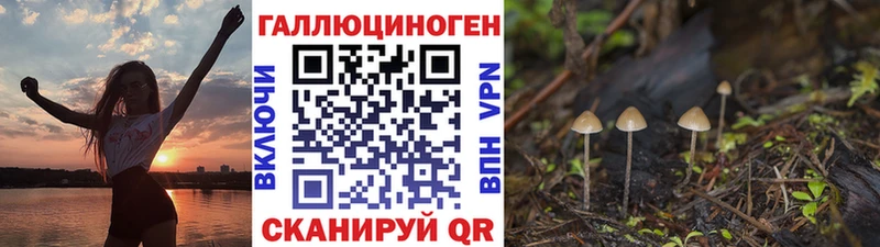 цена наркотик  Стерлитамак  Псилоцибиновые грибы GOLDEN TEACHER 
